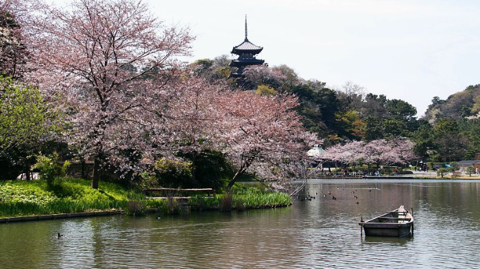 산케이엔 가든 三渓園
