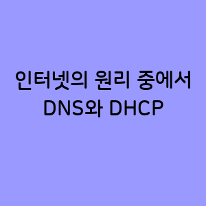 DNS와 DHCP