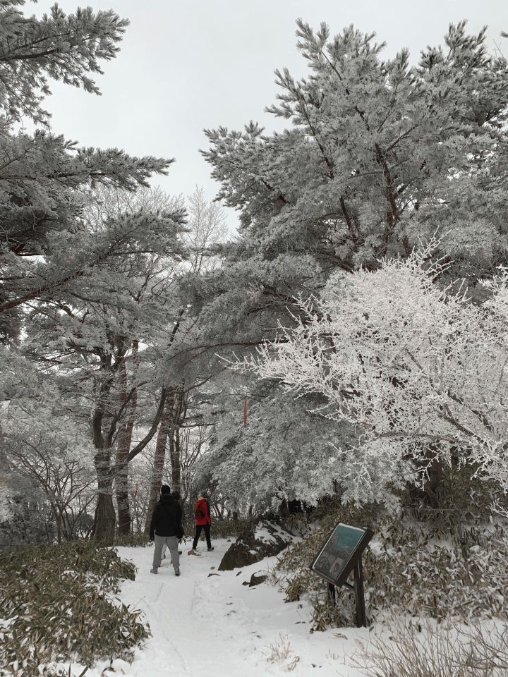 겨울한라산-영실코스-윗세오름-등산로