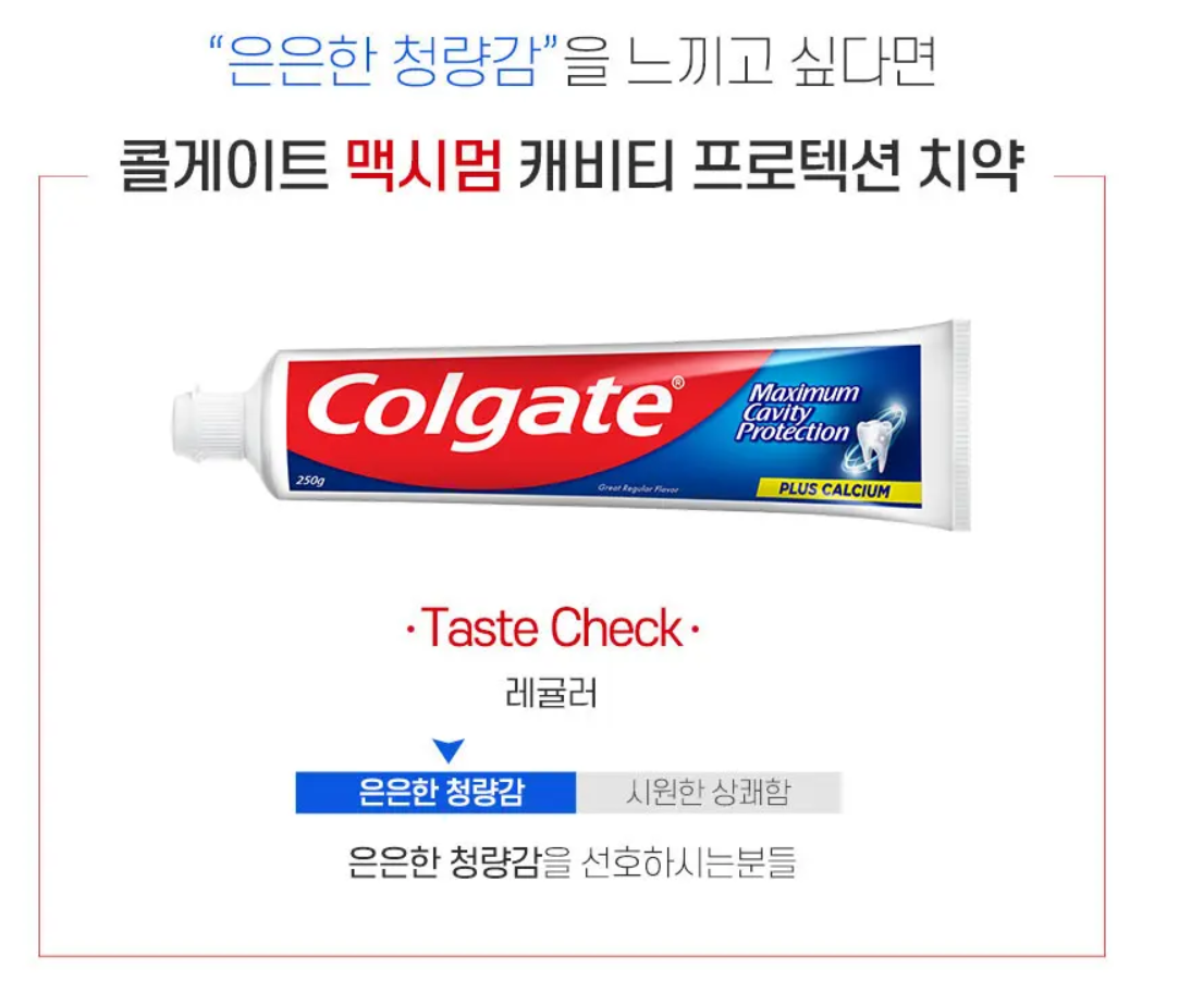 콜게이트 프로텍션 치약