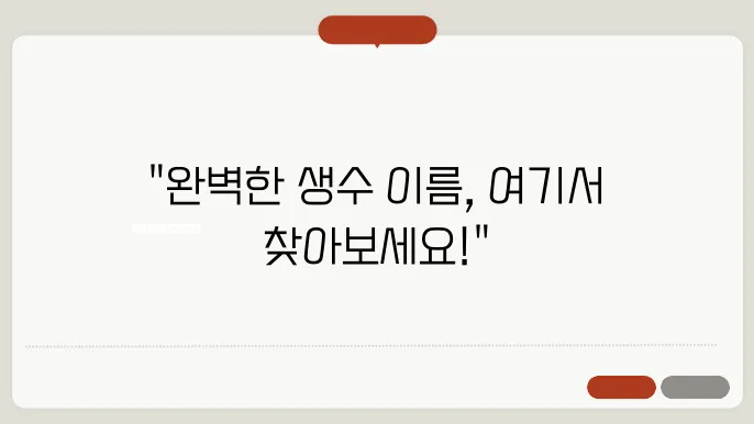생수이름, 작명 상호명 이름 짓기 추천 정보 총정리