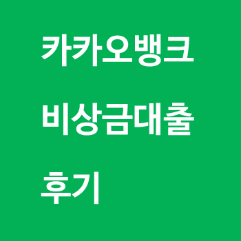 카카오뱅크 비상금대출 후기