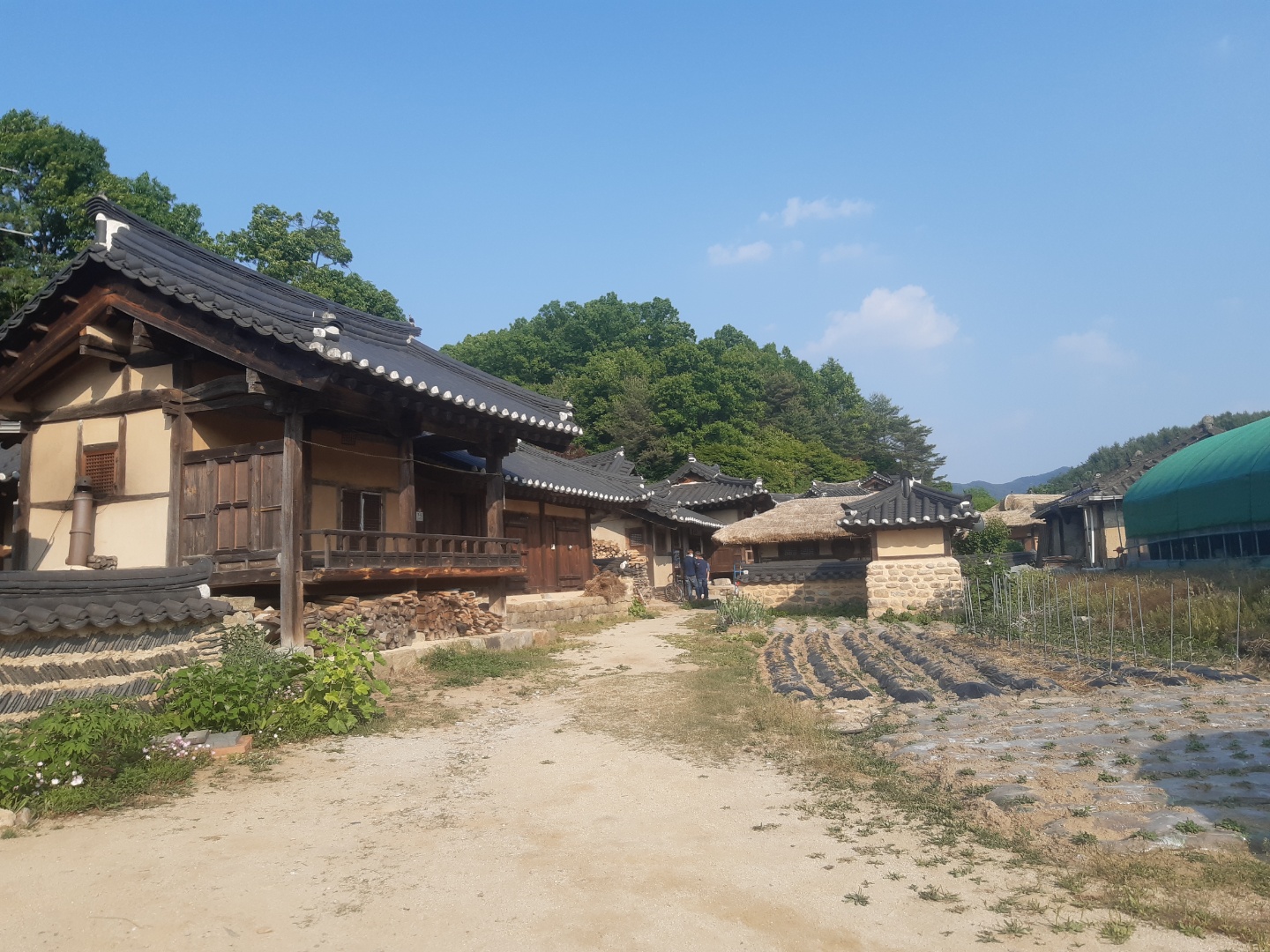  영주 무성마을과 외나무다리 탐방
