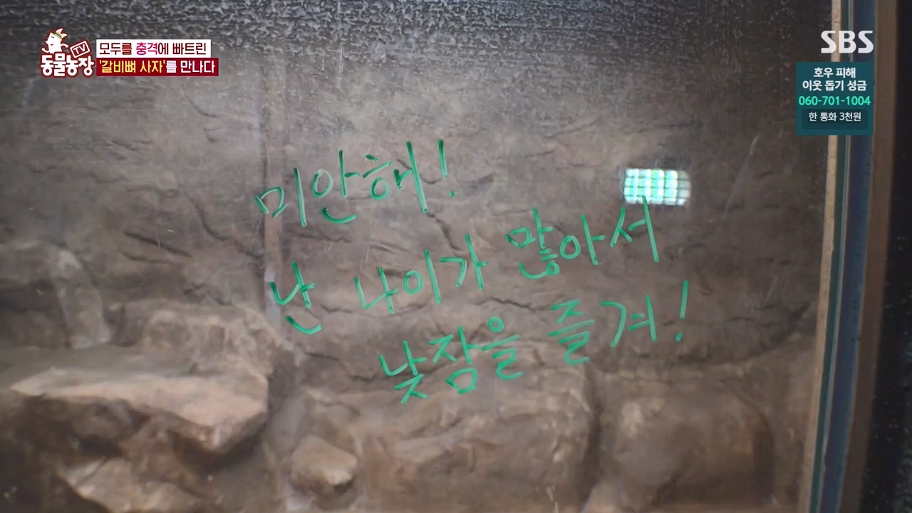 TV 동물농장.E1131.230731p-NEXT.mp4_20230730_190956.265.jpg