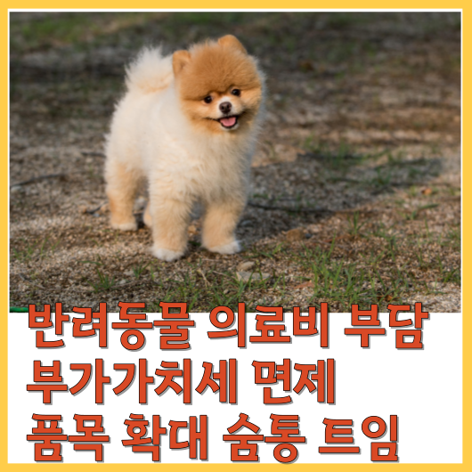  반려동물 의료비 부담 부가가치세 면제 품목 확대로 숨통이 트입니다.