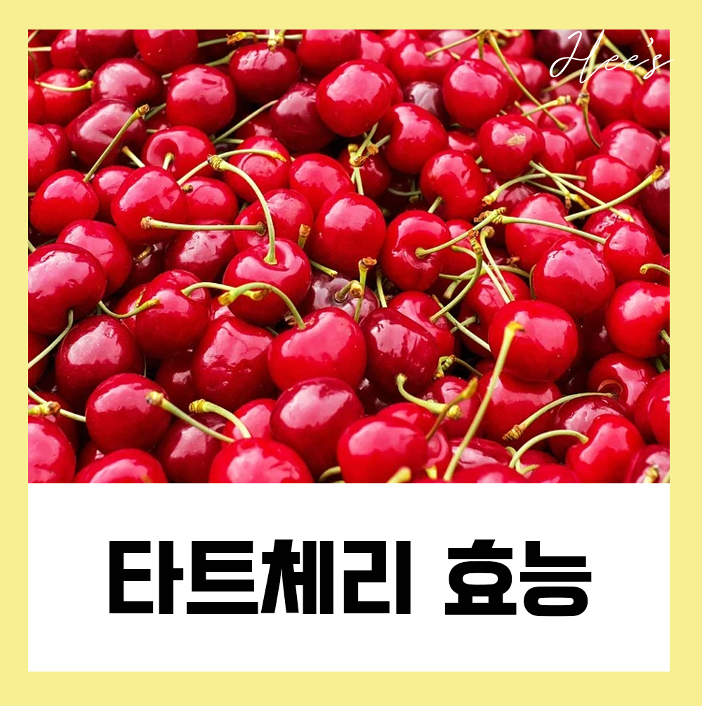  타트체리효능 좋네요 복용법은?