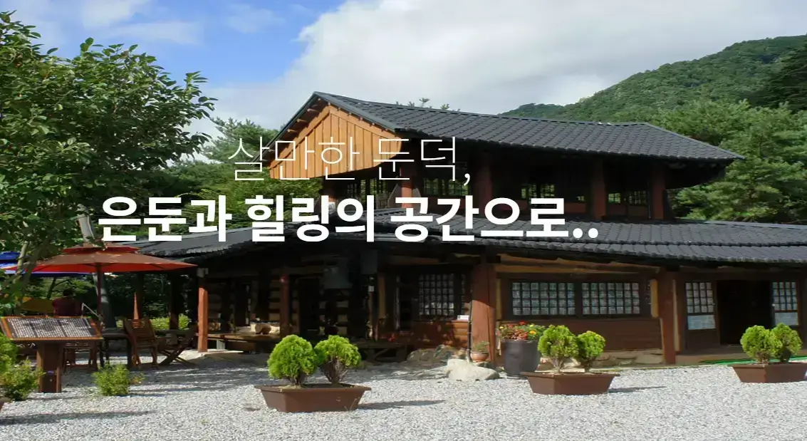 홍천 은행나무숲 숙소 추천