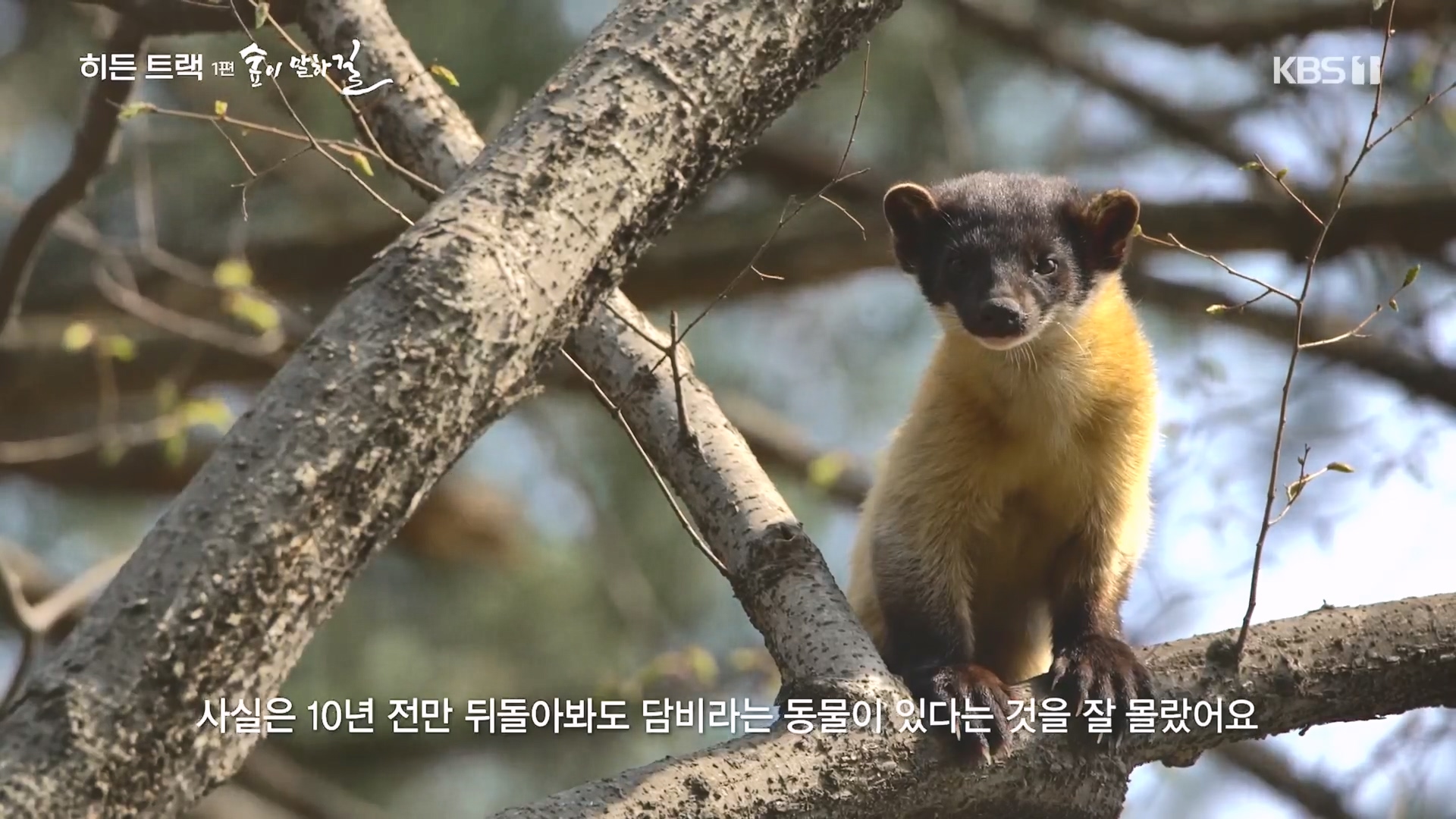 다큐 인사이트.E176.231214p.H264-F1RST.mp4_20231215_203529.571.jpg
