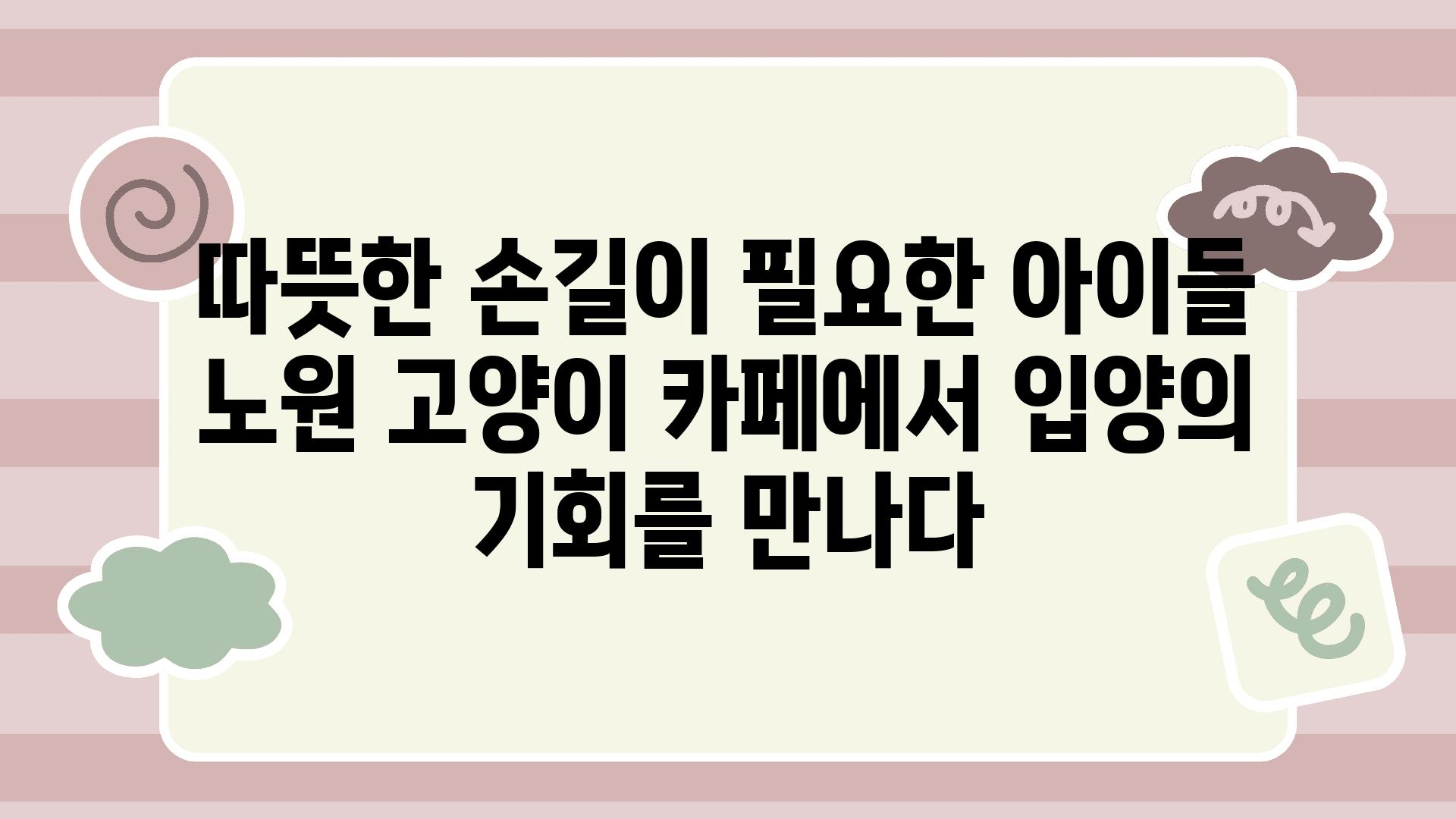 따뜻한 손길이 필요한 아이들 노원 고양이 카페에서 입양의 기회를 만나다