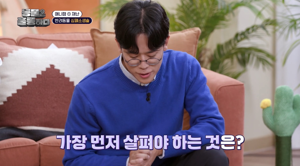 반려인들은 알아두면 좋을 만한 정보들...jpg | 인스티즈