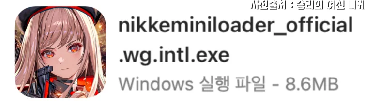 니케 PC 설치 파일