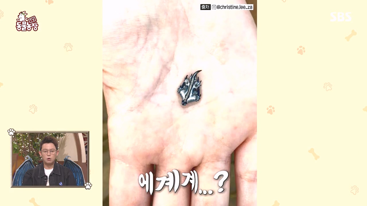 TV 동물농장.E1153.240108p-NEXT.mp4_20240107_170549.700.jpg