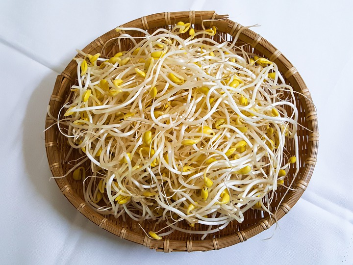 콩나물 이미지
