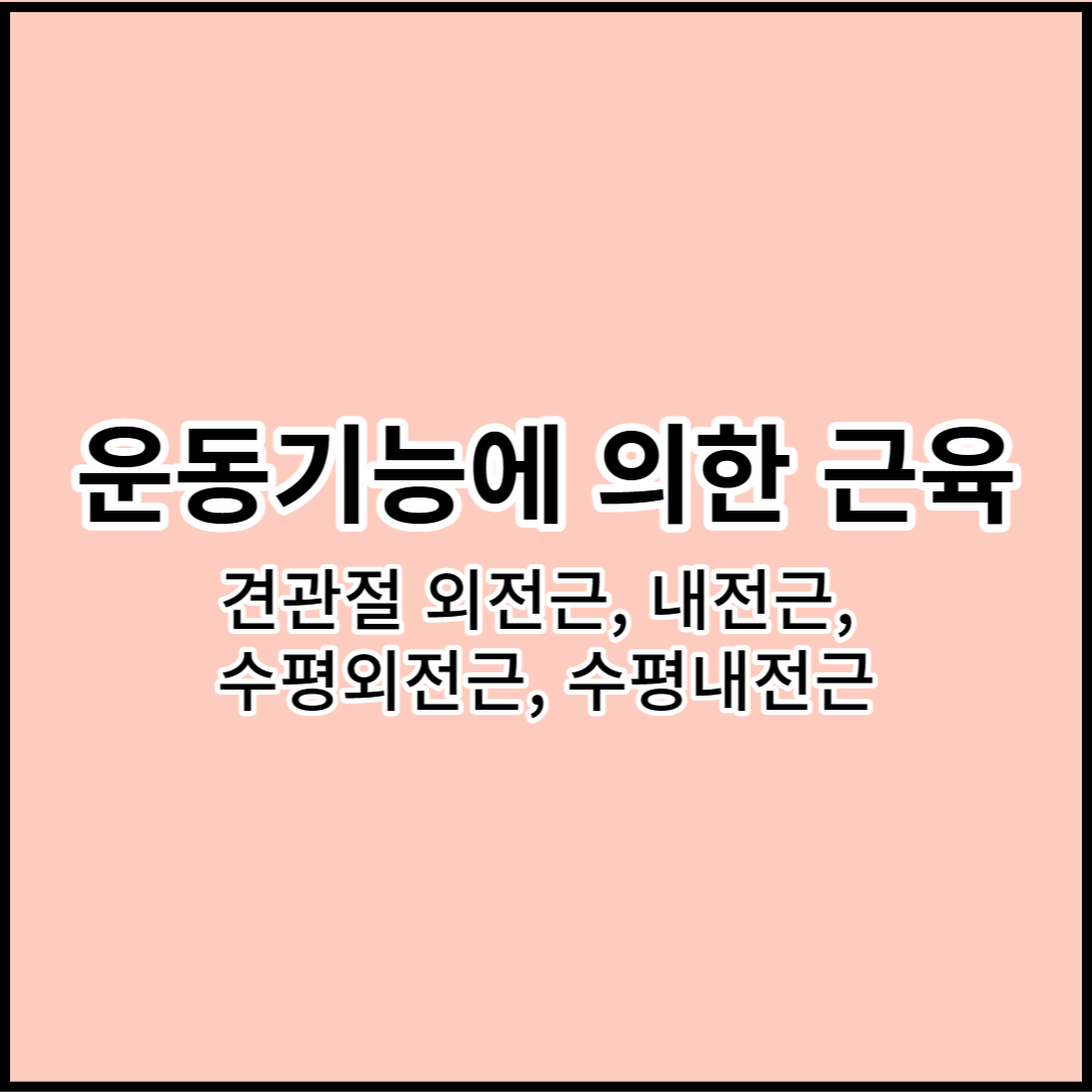 해부학 상지의 운동기능에 의한 근육: 견관절 외전근&#44; 내전근&#44; 수평외전근&#44; 수평내전근