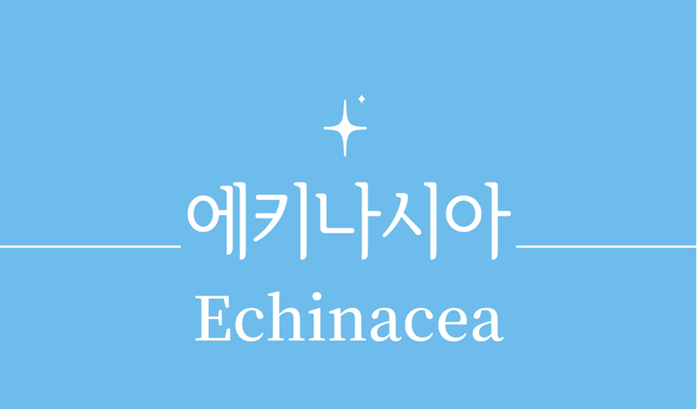 '에키나세아(Echinacea)'