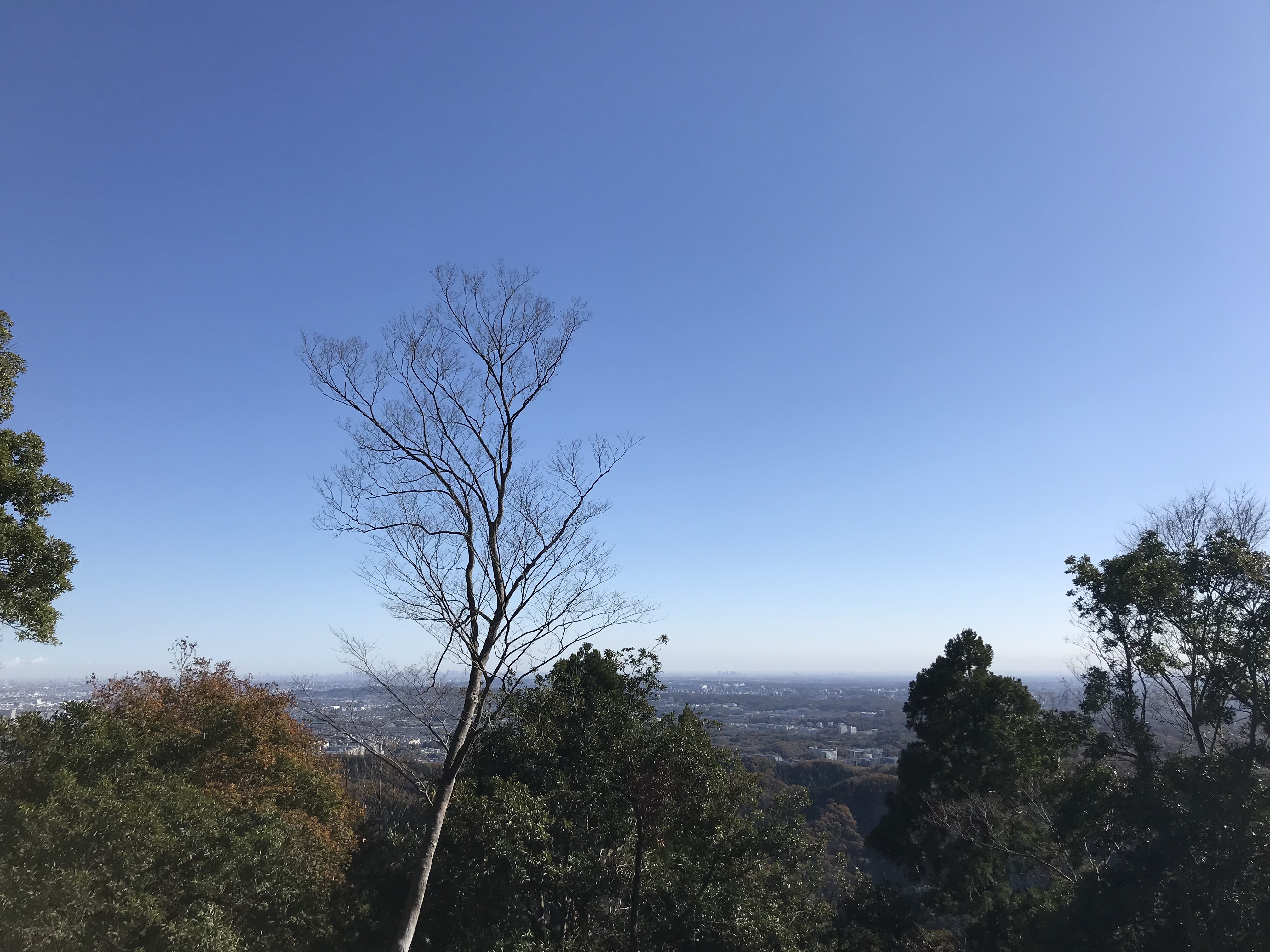 타카오산풍경