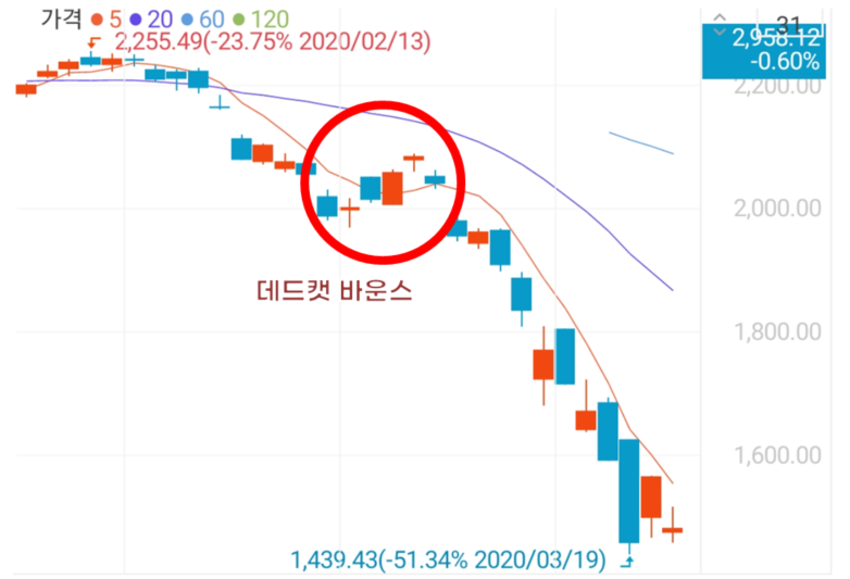 데드캣 바운스 (Dead Cat Bounce), 기회인가 위기의 시작인가 데드캣 바운스 (Dead Cat Bounce), 기회인가 위기의 시작인가