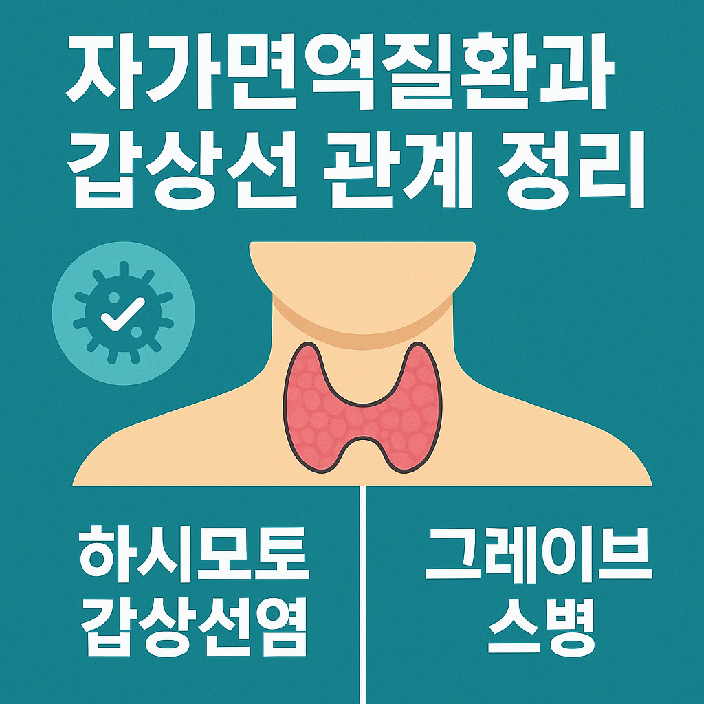 자가면역질환과 갑상선 관계 정리