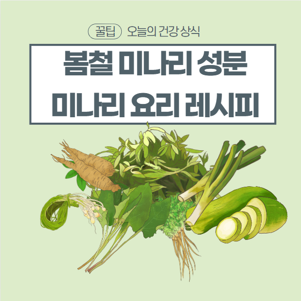봄철 미나리의 효능과 미나리 요리