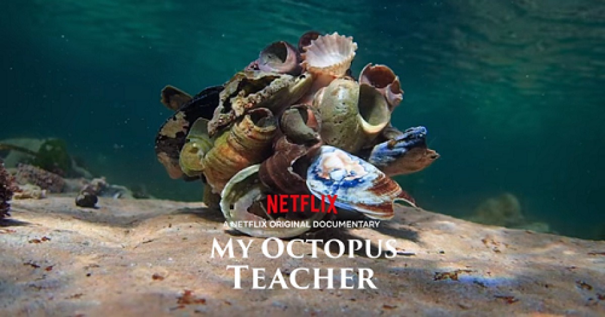 넷플릭스 다큐멘터리 추천 2