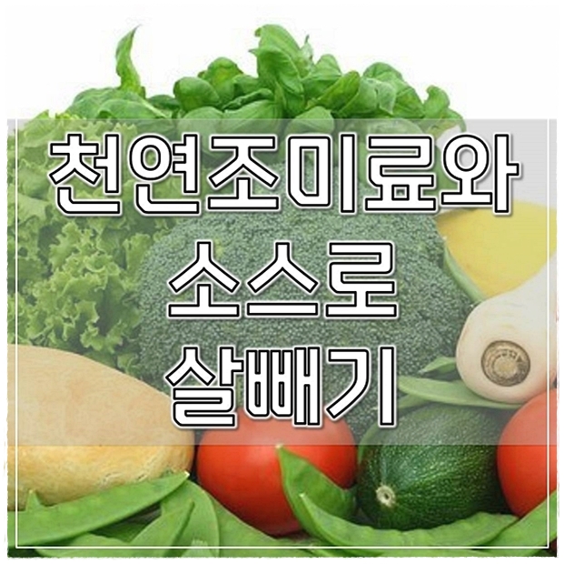  천연조미료와 소스로 살빼기