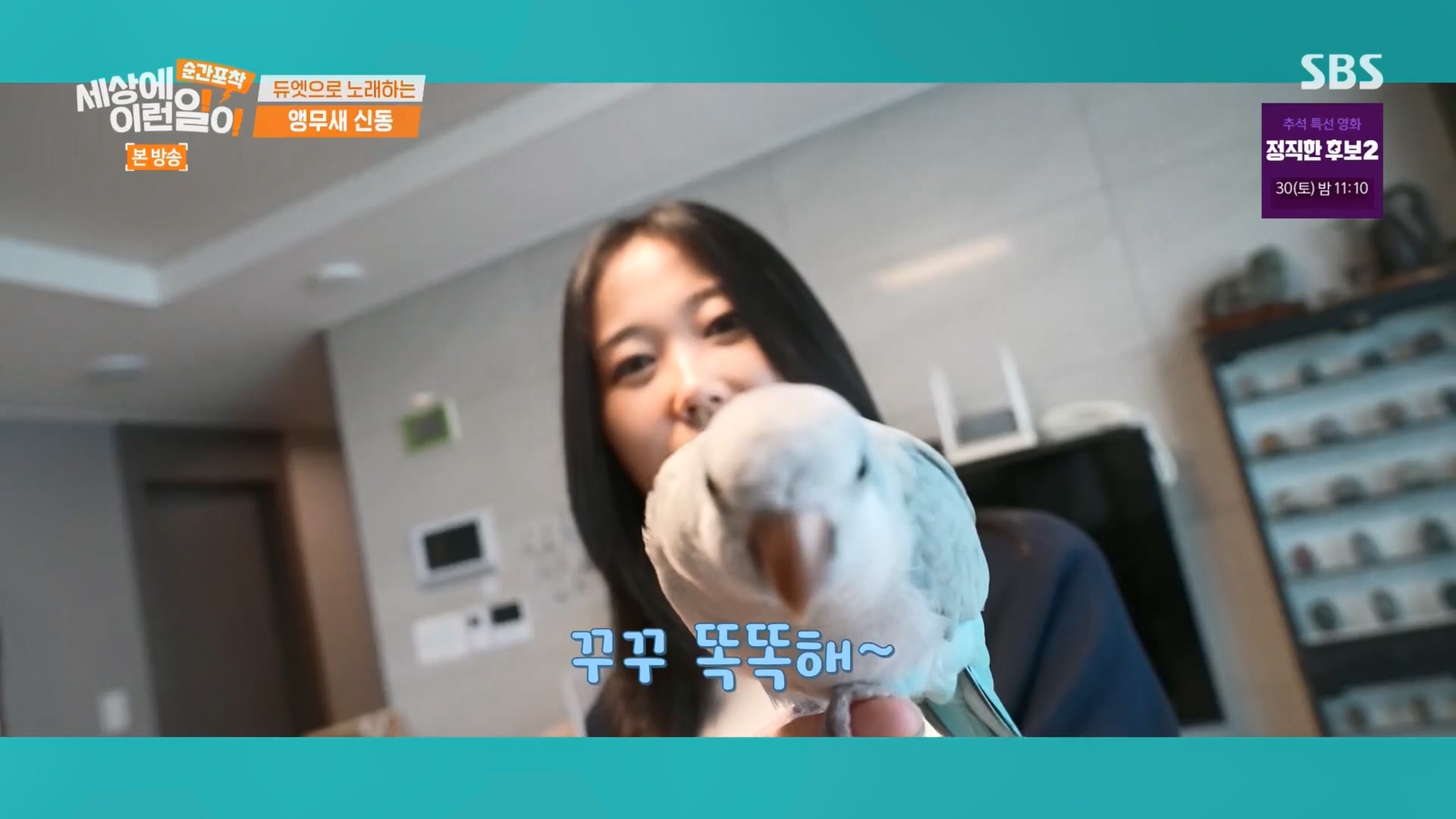 순간포착 세상에 이런일이.E1247.230923p.H264-F1RST.mp4_20230924_152650.069.jpg