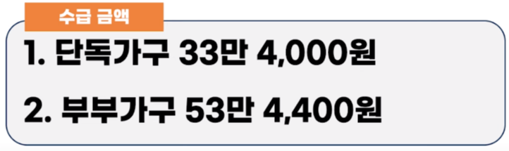 2024년 기초연금 수급자격 모의계산 자동차6