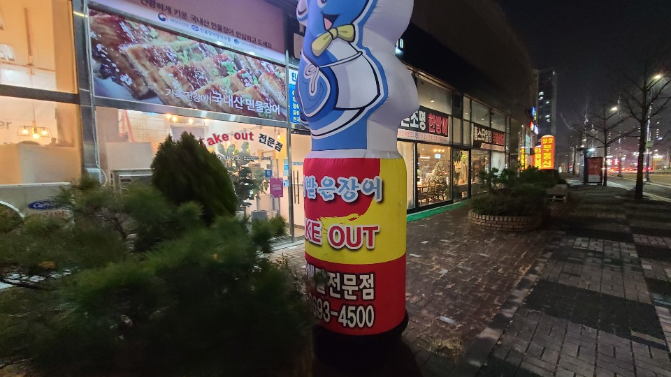 관리받은장어