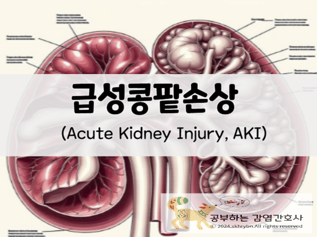 갑자기 땀이 많이 난다면 “급성콩팥손상”(Acute Kidney Injury, AKI) 원인 및 증상