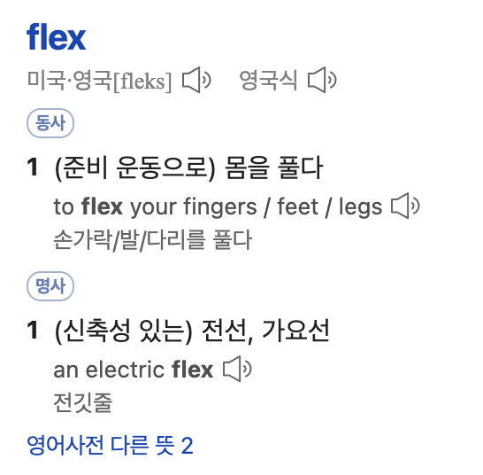 플렉스(FLEX) 이미지