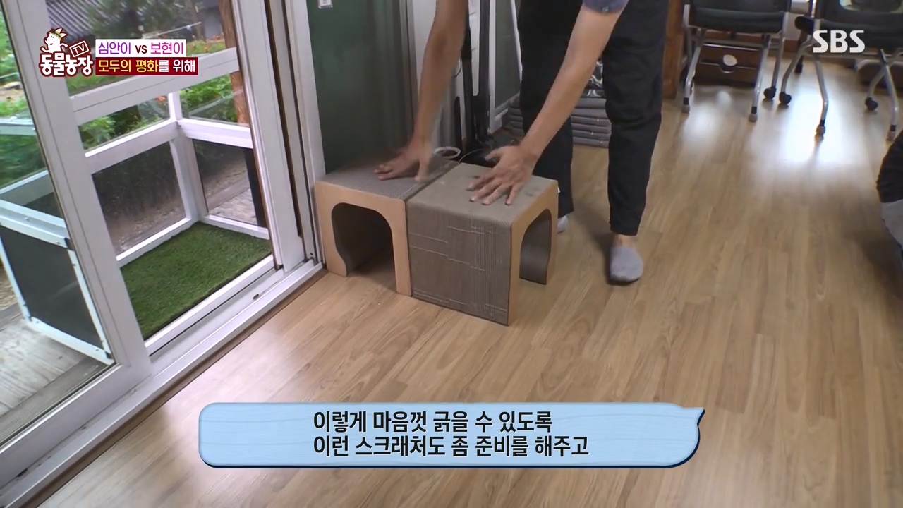 TV 동물농장.E1143.231030p-NEXT.mp4_20231029_161754.886.jpg