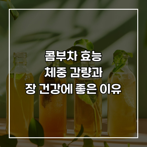 콤부차 효능, 체중 감량과 장 건강에 좋은 이유