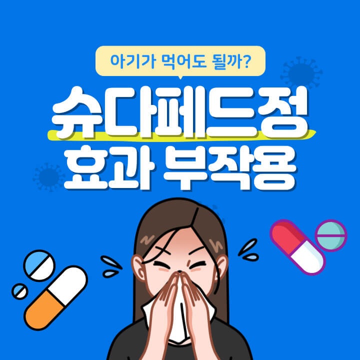 슈다페드정-썸네일