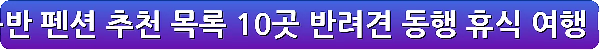 전국 애견동반 펜션 추천 목록 10곳 반려견 동행 휴식 여행_10