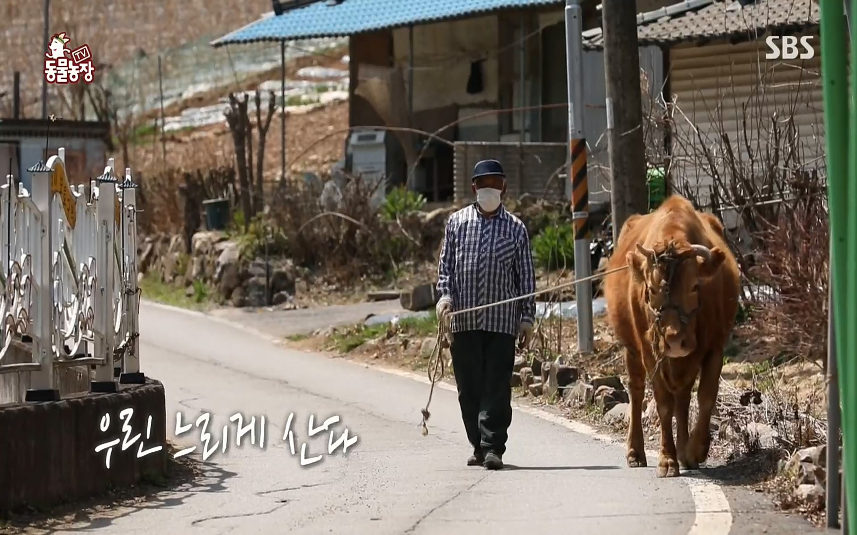 TV 동물농장.E1067.220501p.H264-F1RST.mp4_20220501_184830.572.jpg