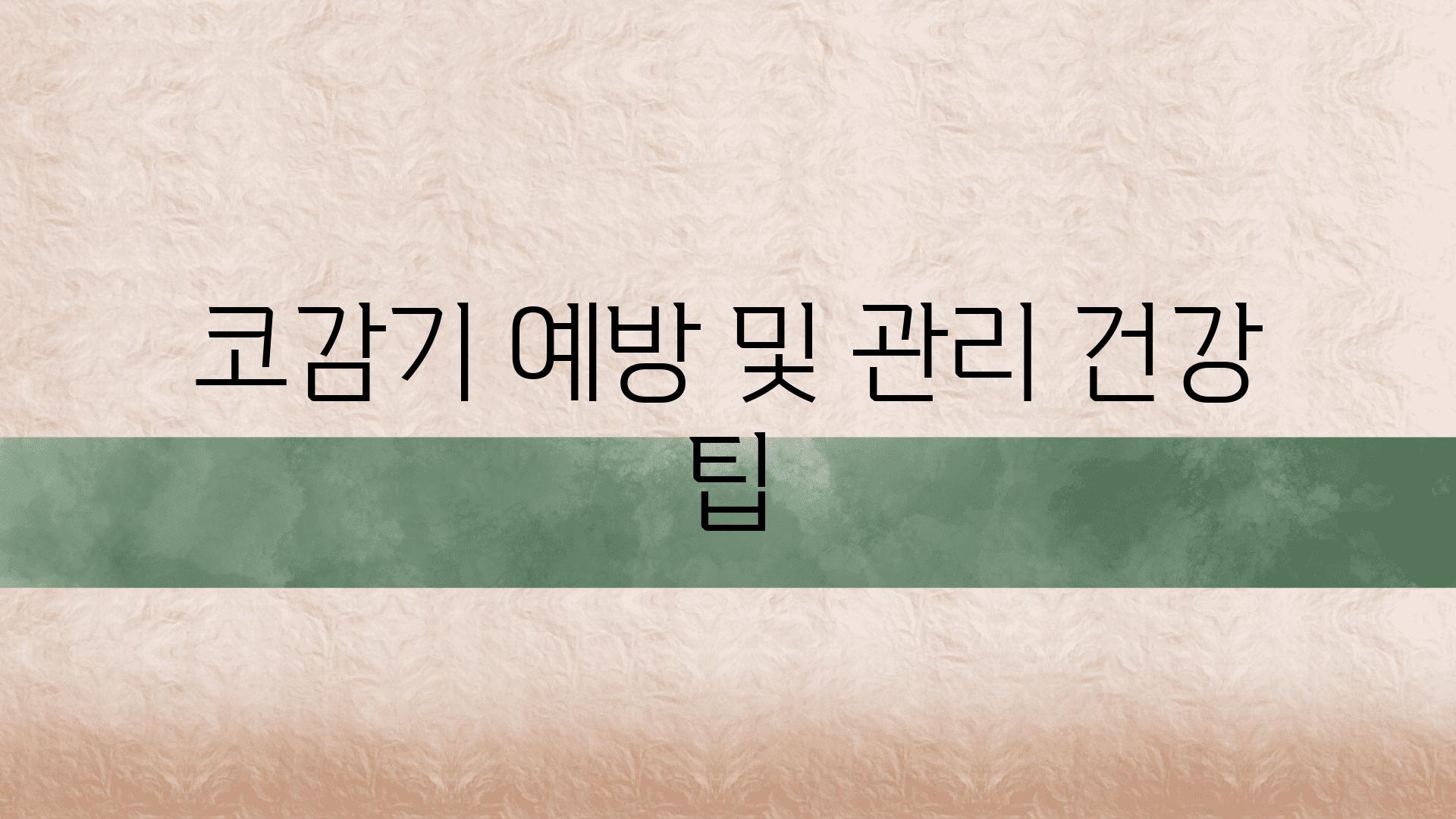 코감기 예방 및 관리 건강 팁