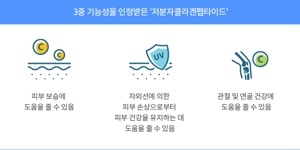 분말 콜라겐