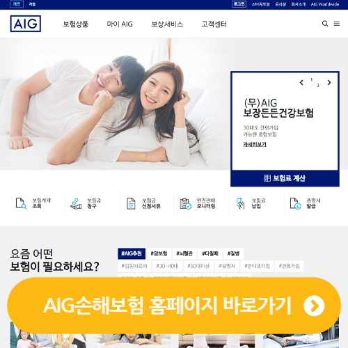  AIG손해보험 홈페이지 바로가기