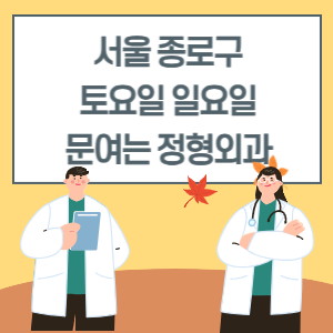 서울 종로구 토요일 일요일 정형외과 진료 병원 리스트