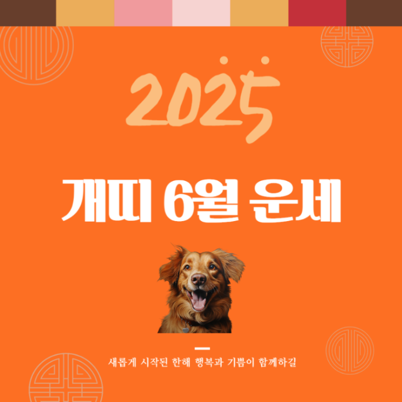 2025년 을사년 『개띠』 6월 운세 썸네일