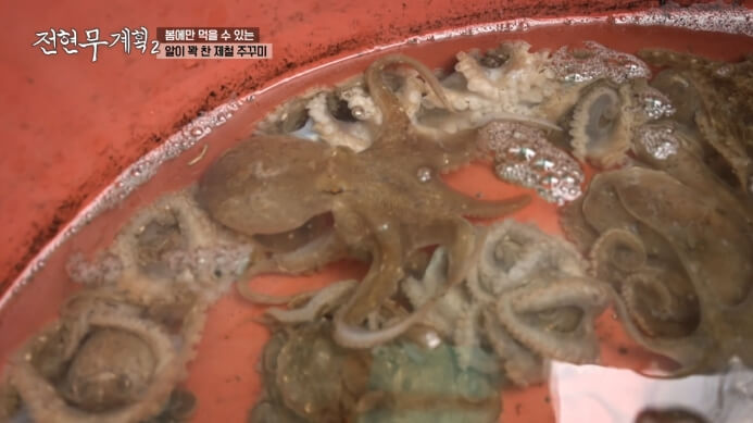 제철쭈꾸미