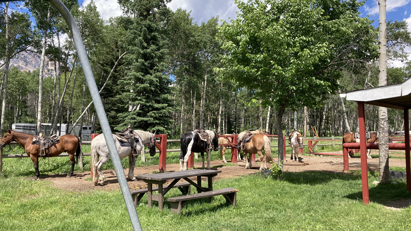 jasper riding stables