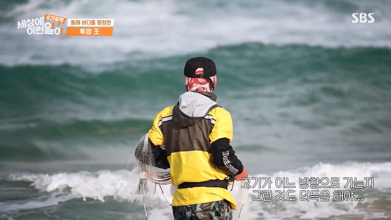 순간포착 세상에 이런일이.E1231.230604p-NEXT.mp4_20230609_202226.082.jpg