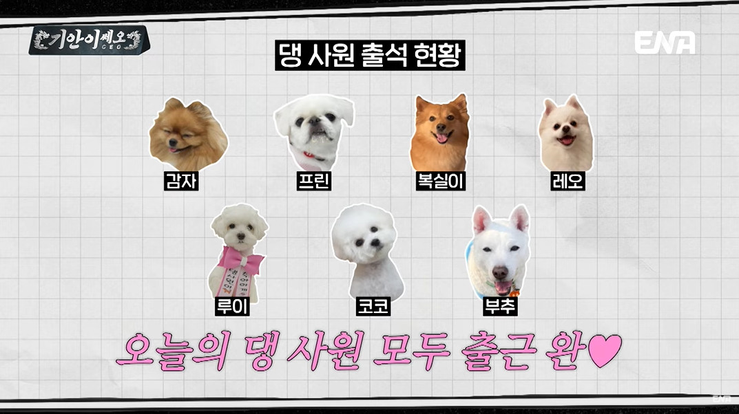 반려인이라면 꿈의 직장인 기업...jpg | 인스티즈