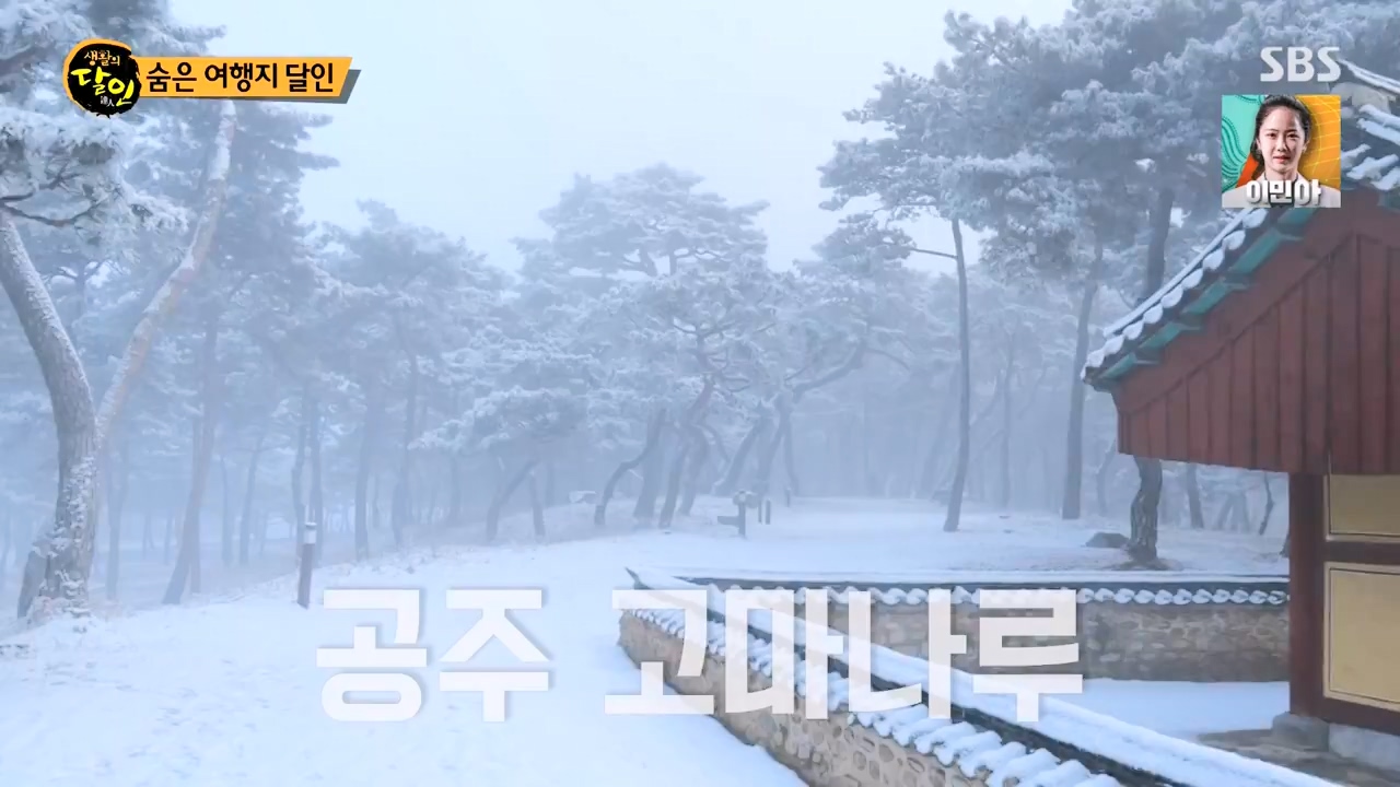 생활의 달인.E899.230732p-NEXT.mp4_20230801_213233.473.jpg