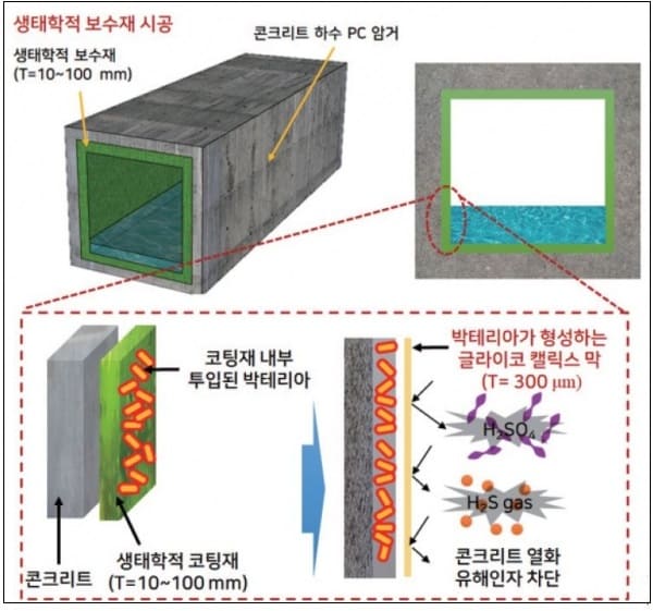  콘크리트구조물 사용수명 연장시켜주는 신개념 박테리아 활용 보수공법