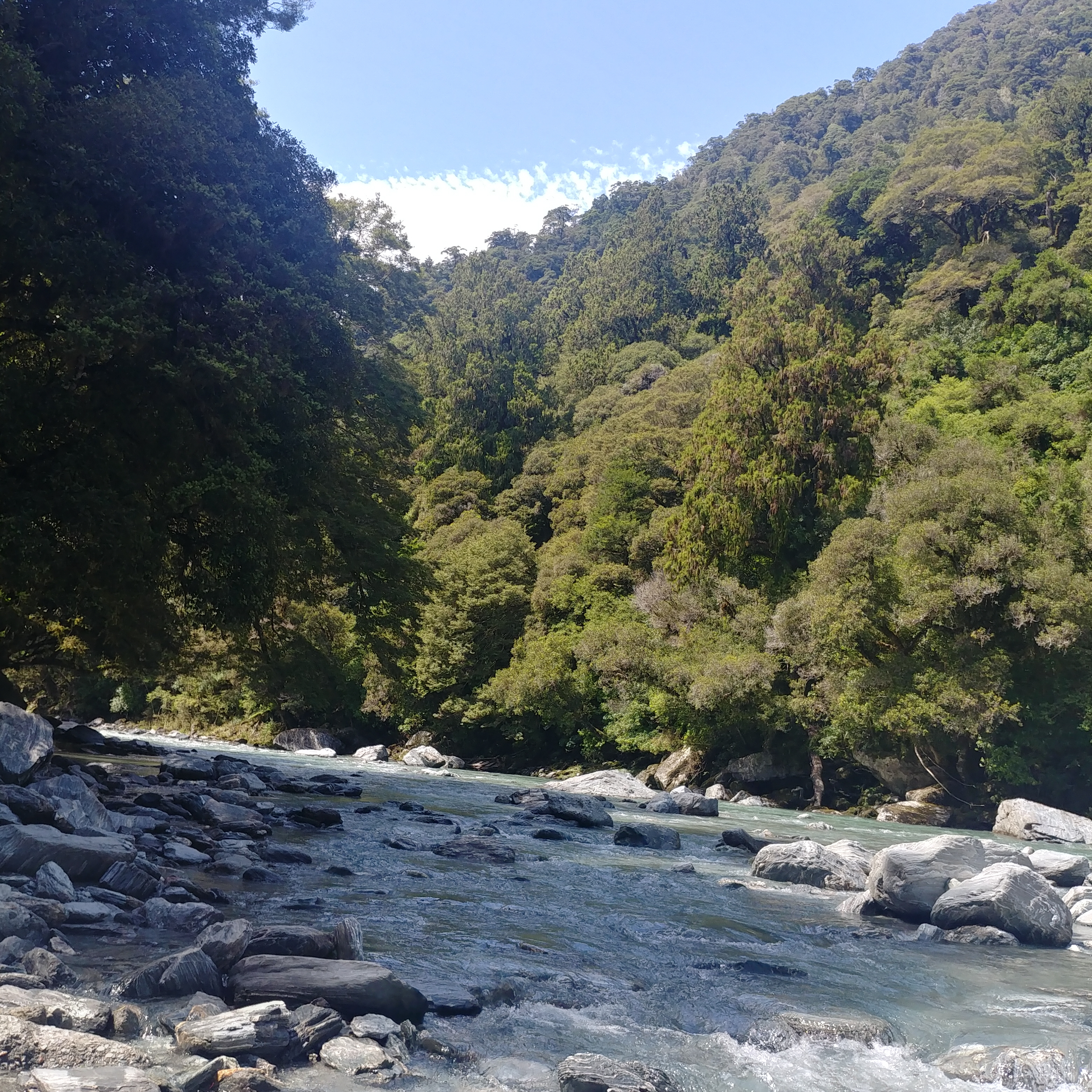뉴질랜드 남섬 웨스트코스트 여행 폭포 Thunder Creek Falls
