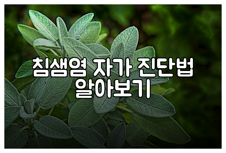 침샘염 자가 진단법 알아보기