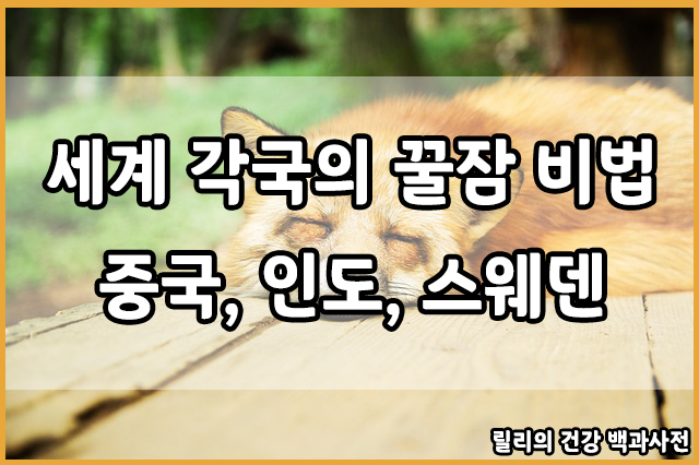  세계 각국의 꿀잠 비법 : 중국, 인도, 스웨덴