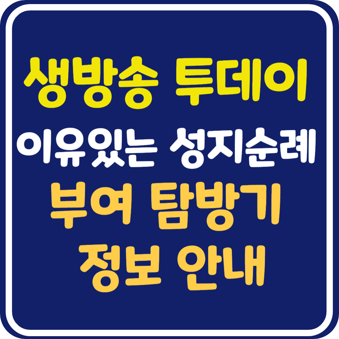 생방송 투데이 부여 탐방기 백제문화단지,전기 어차, 백마강 황토돛배, 수륙양용 버스, 국립부여박물관, 성흥산성 느티나무 정보 안내 : 이유있는 성지순례